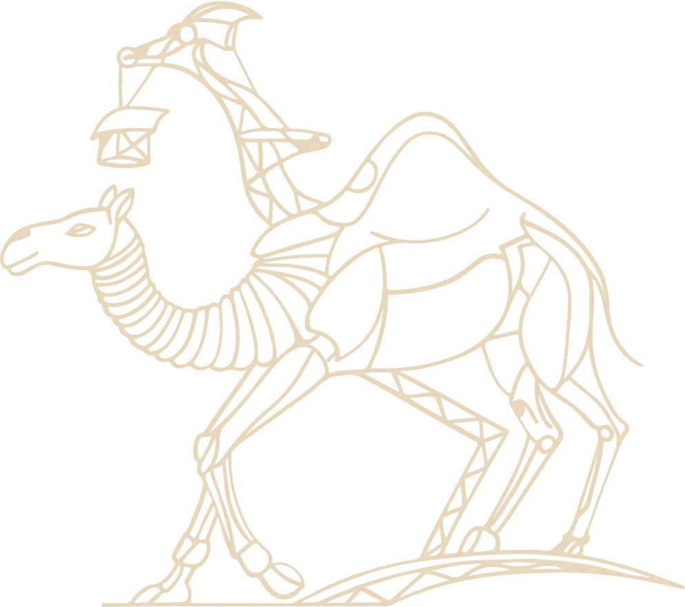 orthodontie esthetique adultes Accueil nivet