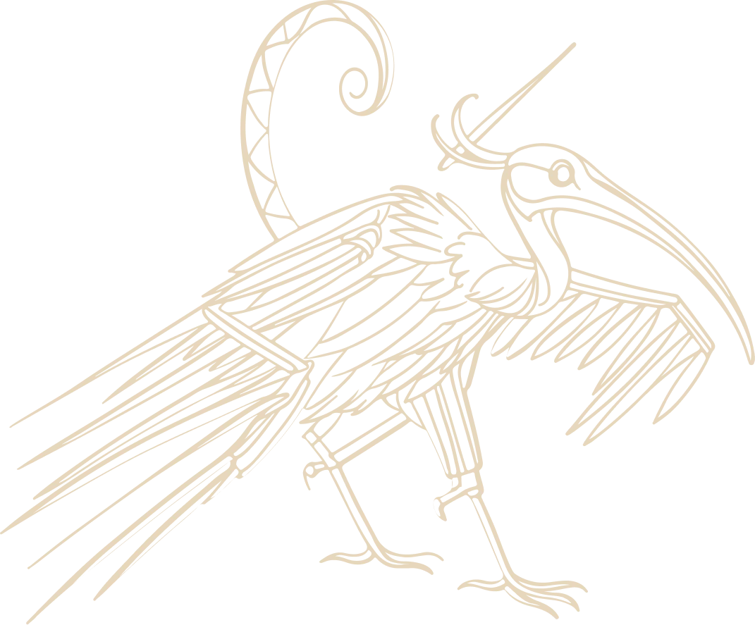 orthodontie esthetique sourire Accueil nivet